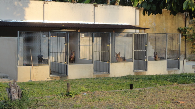 canil-para-cachorro-portão