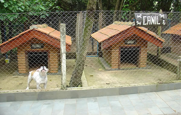 canil-para-cachorro-cão