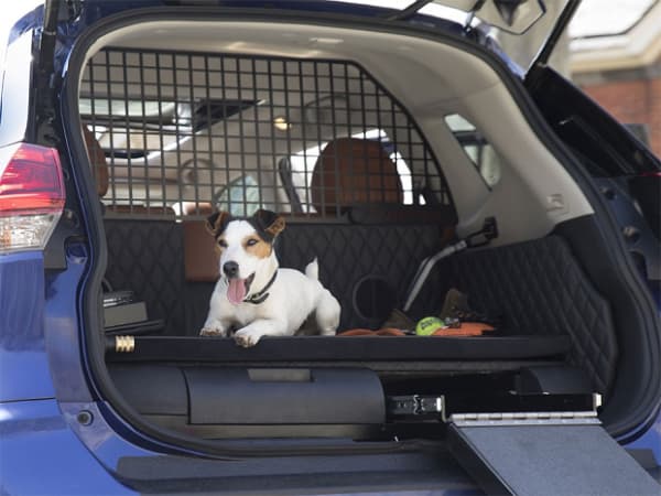 grade divisoria para cachorro no carro