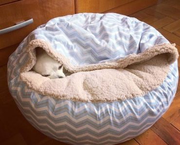 como fazer cama para cachorro