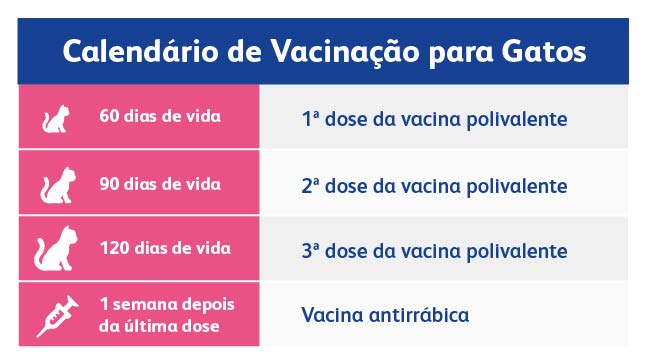 calendário de vacinação para gatos